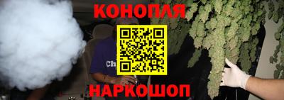 индика Жуковский