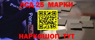 индика Жуковский